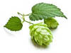 Hop 1
