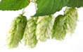 Hop 3